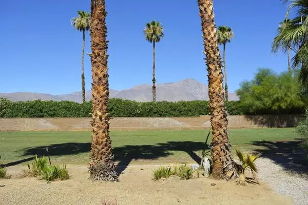 Borrego Springs, CA 92004,1010 Palm Canyon Dr #294