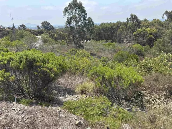 Encinitas, CA 92024,0 Lone Hill Lane