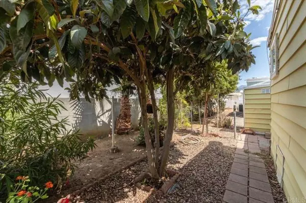 Escondido, CA 92027,211 N Citrus Avenue #214