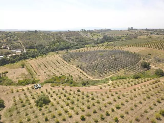 Escondido, CA 92026,0 Birdsong