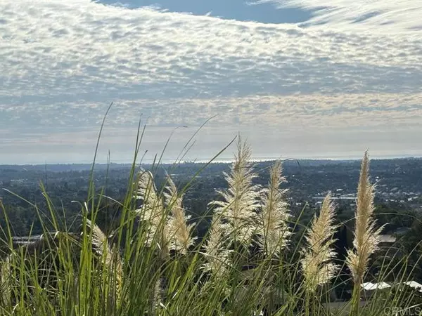 Vista, CA 92084,2068 Camino Culebra