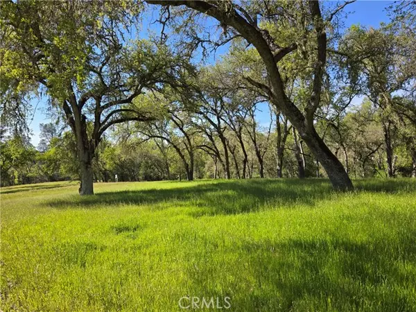 Paso Robles, CA 93446,5860 Aluffo Road