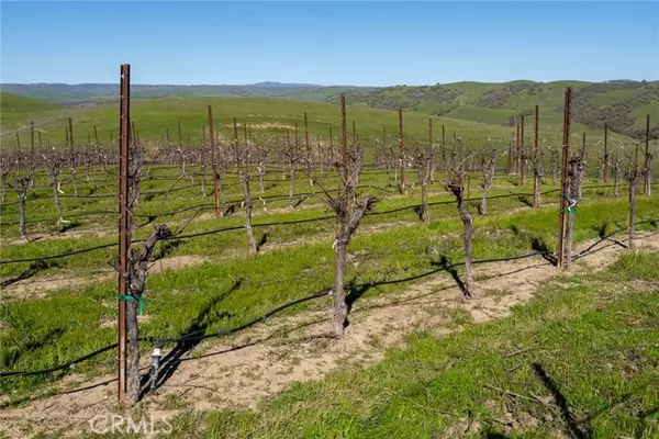 Paso Robles, CA 93451,5790 Hog Canyon