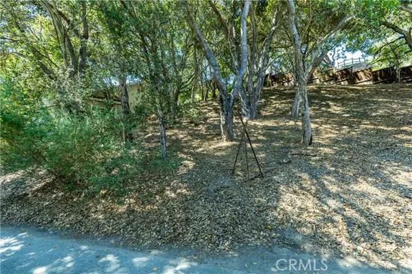 Arroyo Grande, CA 93420,636 Paseo Street