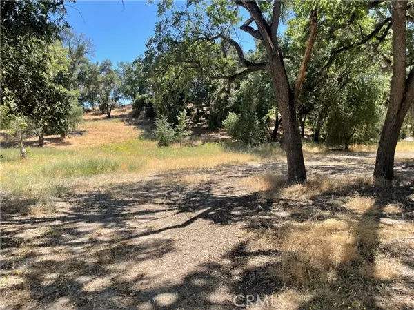 Templeton, CA 93465,8 Championship Lane