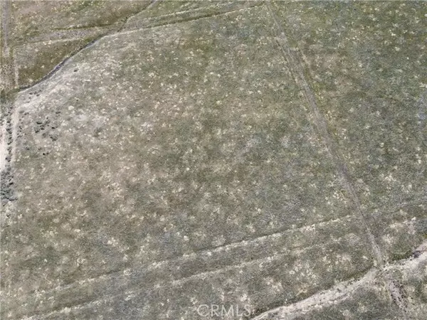 California Valley, CA 93453,0 Arlight Tr