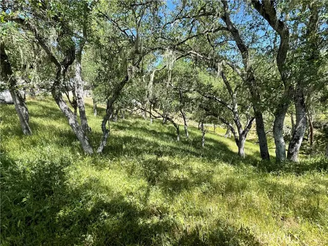 2532 Anchor Circle, Bradley, CA 93426