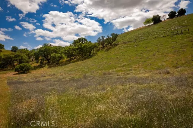 Paso Robles, CA 93446,48 Blue Moon