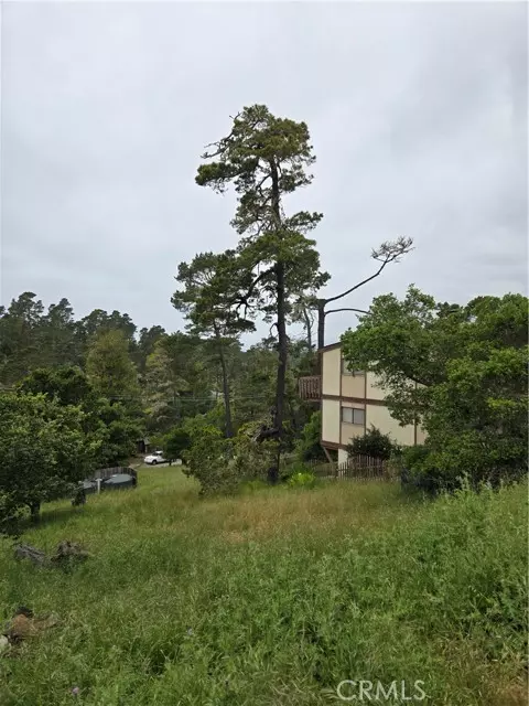 Cambria, CA 93428,0 Pierce Avenue