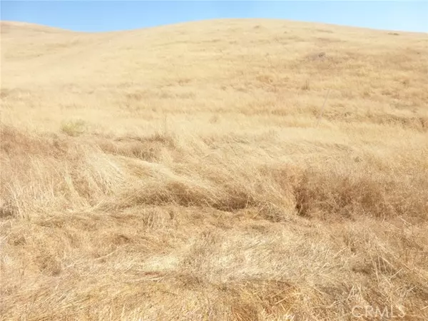 San Miguel, CA 93451,0 Douglas Rd. (Lot 40)