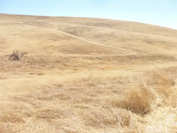 San Miguel, CA 93451,0 Douglas Rd. (Lots 40-43)