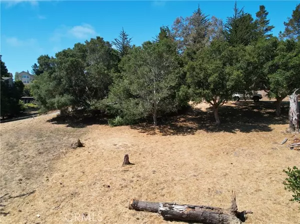 Cambria, CA 93428,0 Londonderry Lane