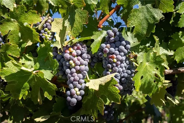 San Miguel, CA 93451,5790 Hog Canyon Road