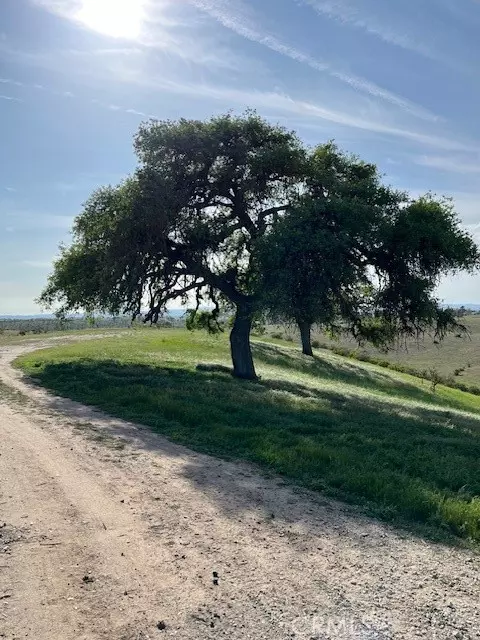 Paso Robles, CA 93446,0 Forked Horn Place