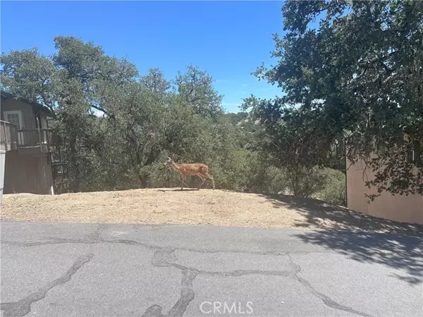 Bradley, CA 93426,2434 Stern Deck Road