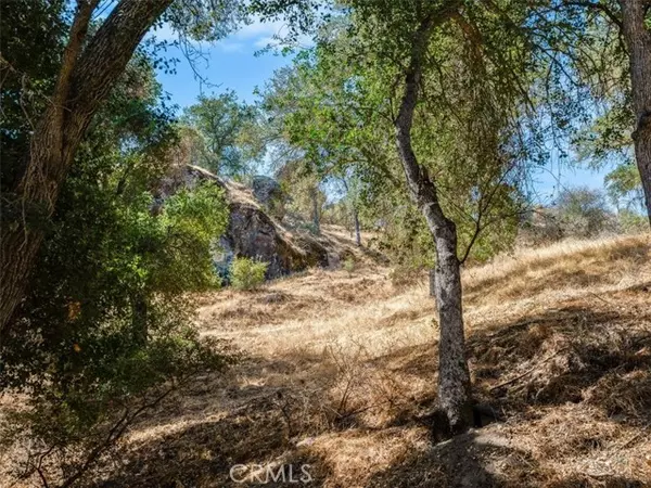 Santa Margarita, CA 93453,1575 Parkhill Road