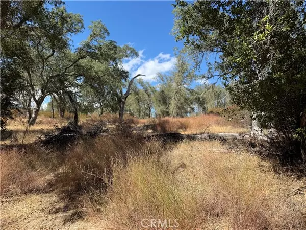 Bradley, CA 93426,18 Sapaque Valley rd