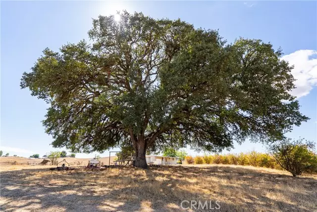 Paso Robles, CA 93446,27 Wellsona Road