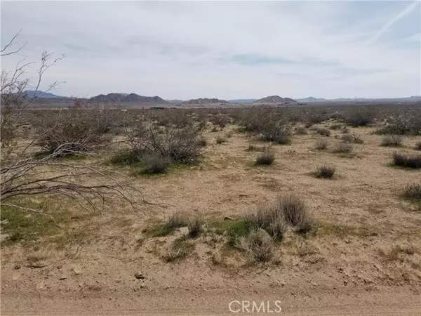 Lucerne Valley, CA 92635,34558 Cattleman