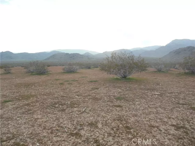 Lucerne Valley, CA 92635,34558 Cattleman