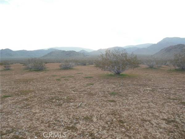 34558 Cattleman, Lucerne Valley, CA 92635