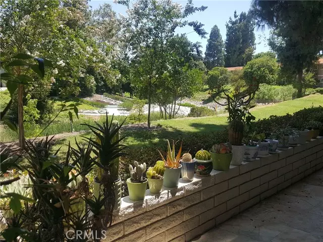 Laguna Woods, CA 92637,919 Avenida Majorca #B