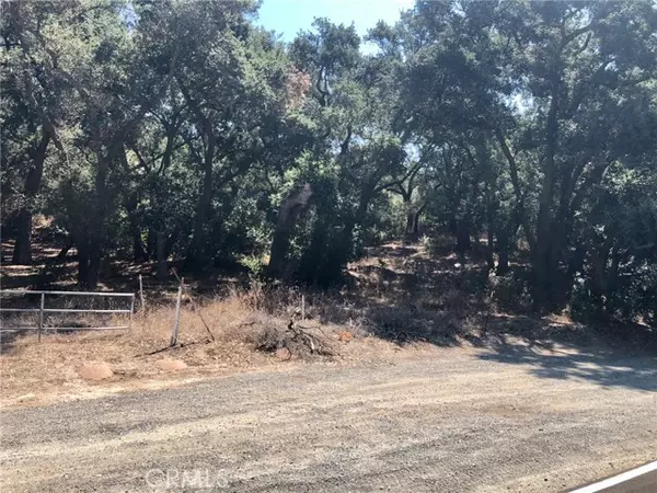 Trabuco Canyon, CA 92679,19334 Live Oak Canyon