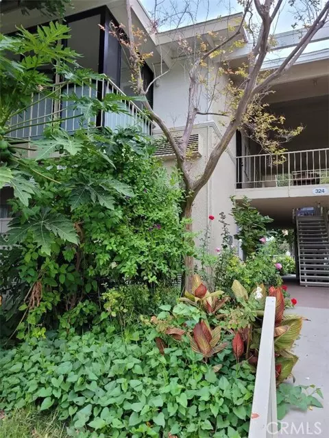 324 Avenida carmel #P, Laguna Woods, CA 92637