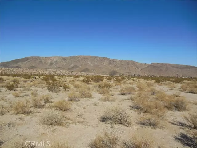 Joshua Tree, CA 92252,141109 29 Palms Hwy