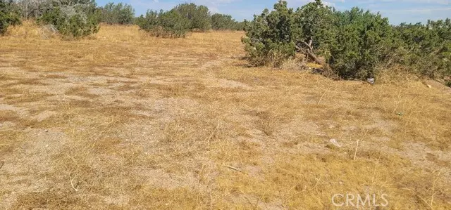 Indio, CA 92201,0 UNKN OWN