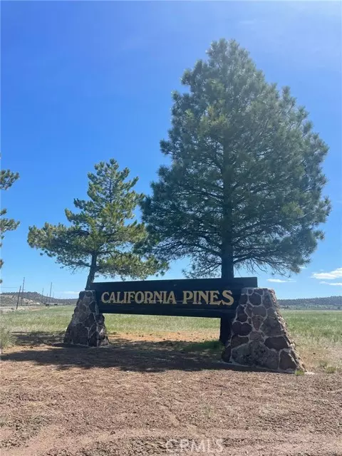 0 Yellow Pine Drive, Alturas, CA 96101