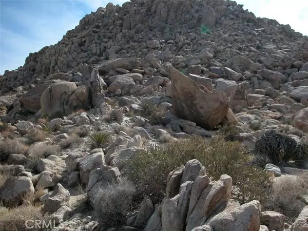 Joshua Tree, CA 92252,9 Stoney Crest Road