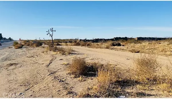 Adelanto, CA 93201,0 MOJAVE/VERBENA