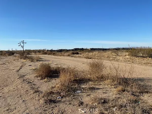 Adelanto, CA 93201,0 MOJAVE/VERBENA