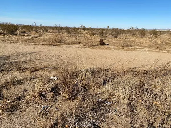 Adelanto, CA 93201,0 MOJAVE/VERBENA