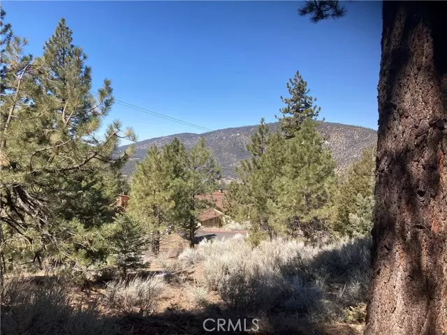 Pine Mtn Club, CA 93222,15125 Chestnut Drive