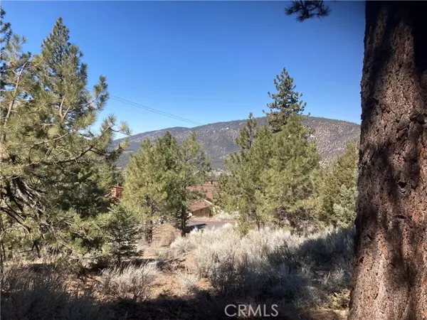 15125 Chestnut Drive, Pine Mtn Club, CA 93222