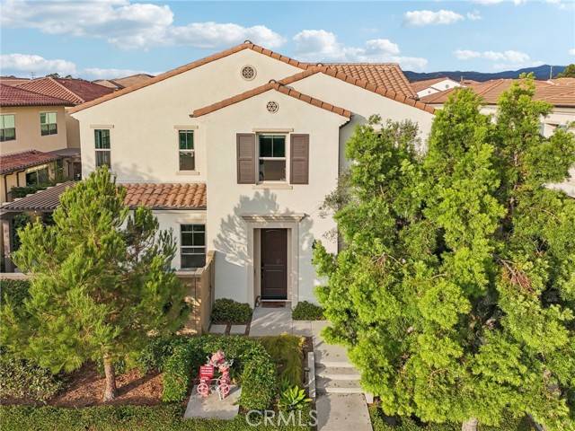 146 Annuals, Irvine, CA 92618