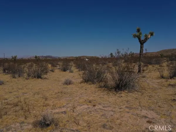 Yucca Valley, CA 92284,0 Hondo Street