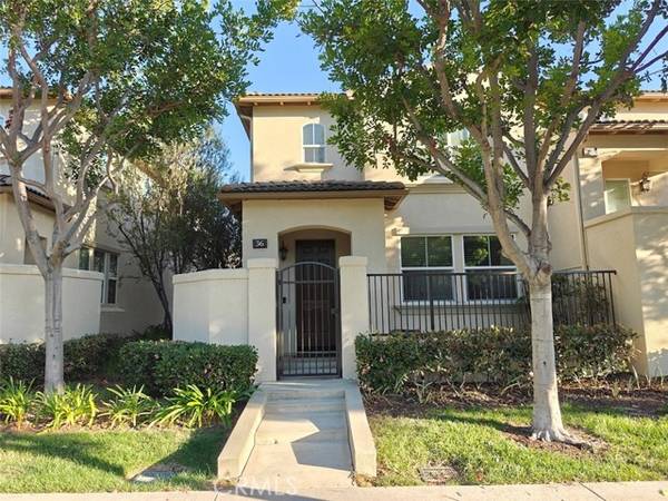 36 League, Irvine, CA 92602