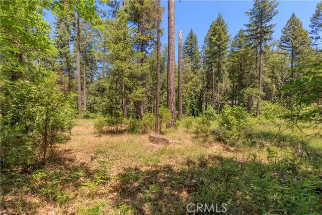 Magalia, CA 95954,0 Hidden Lake Lane