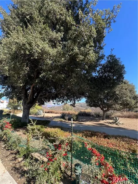 Rancho Santa Margarita, CA 92688,96 Rabano #100