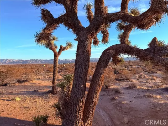 Joshua Tree, CA 92252,2700 Del Sol