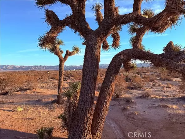 2700 Del Sol, Joshua Tree, CA 92252