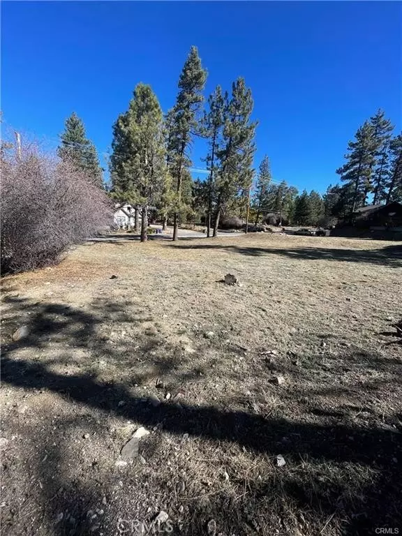 Big Bear Lake, CA 92315,40063 Big Bear Boulevard