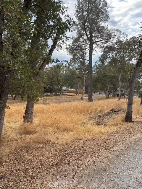 Placerville, CA 95667,3885 Rosey Way