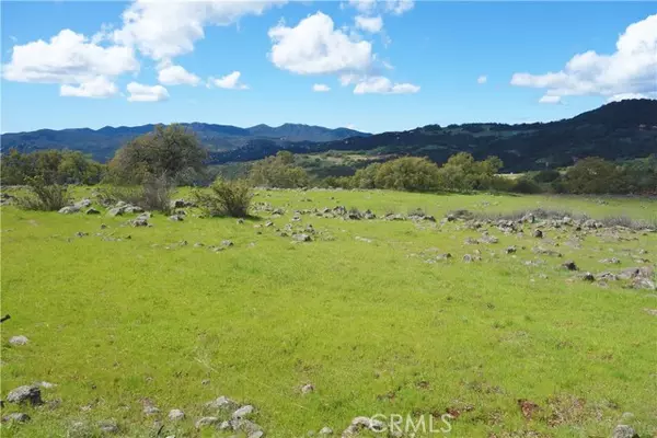 Murrieta, CA 92562,20 Avocado Mesa