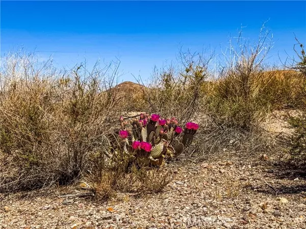 Other - See Remarks, CA 92389,120 Old Spanish Trail Hwy