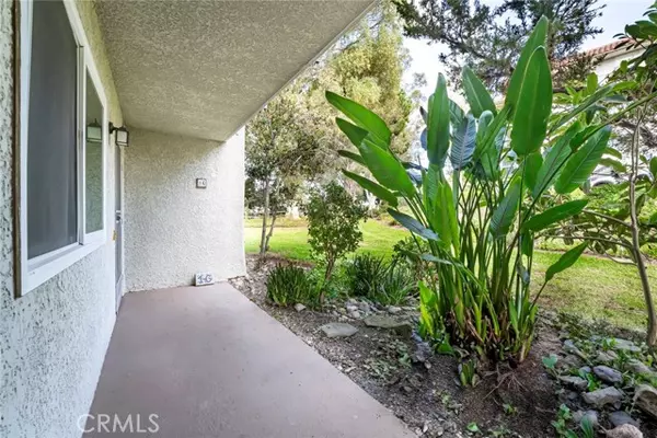 Laguna Woods, CA 92637,5369 Algarrobo #1G