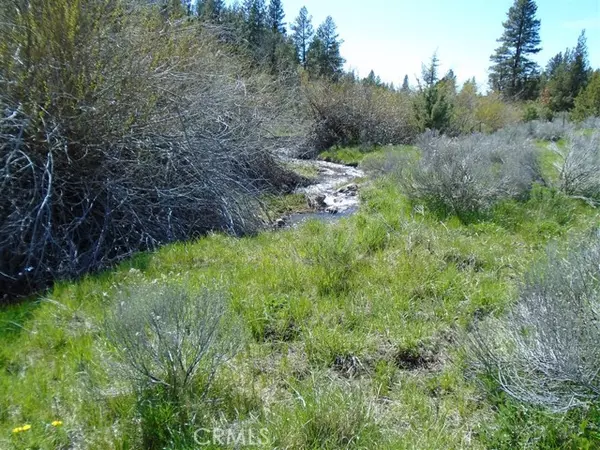 Alturas, CA 96101,0 Hogan Court